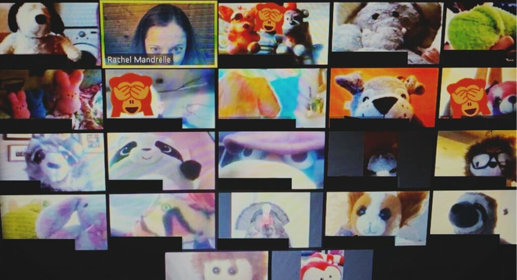 Teacher, Rachel Mandrelle's, online teaching classroom.